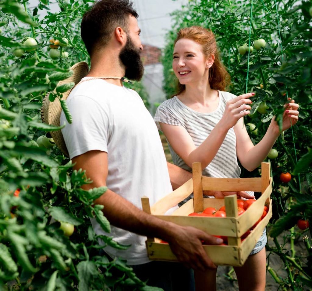 Terapia individual sistémica